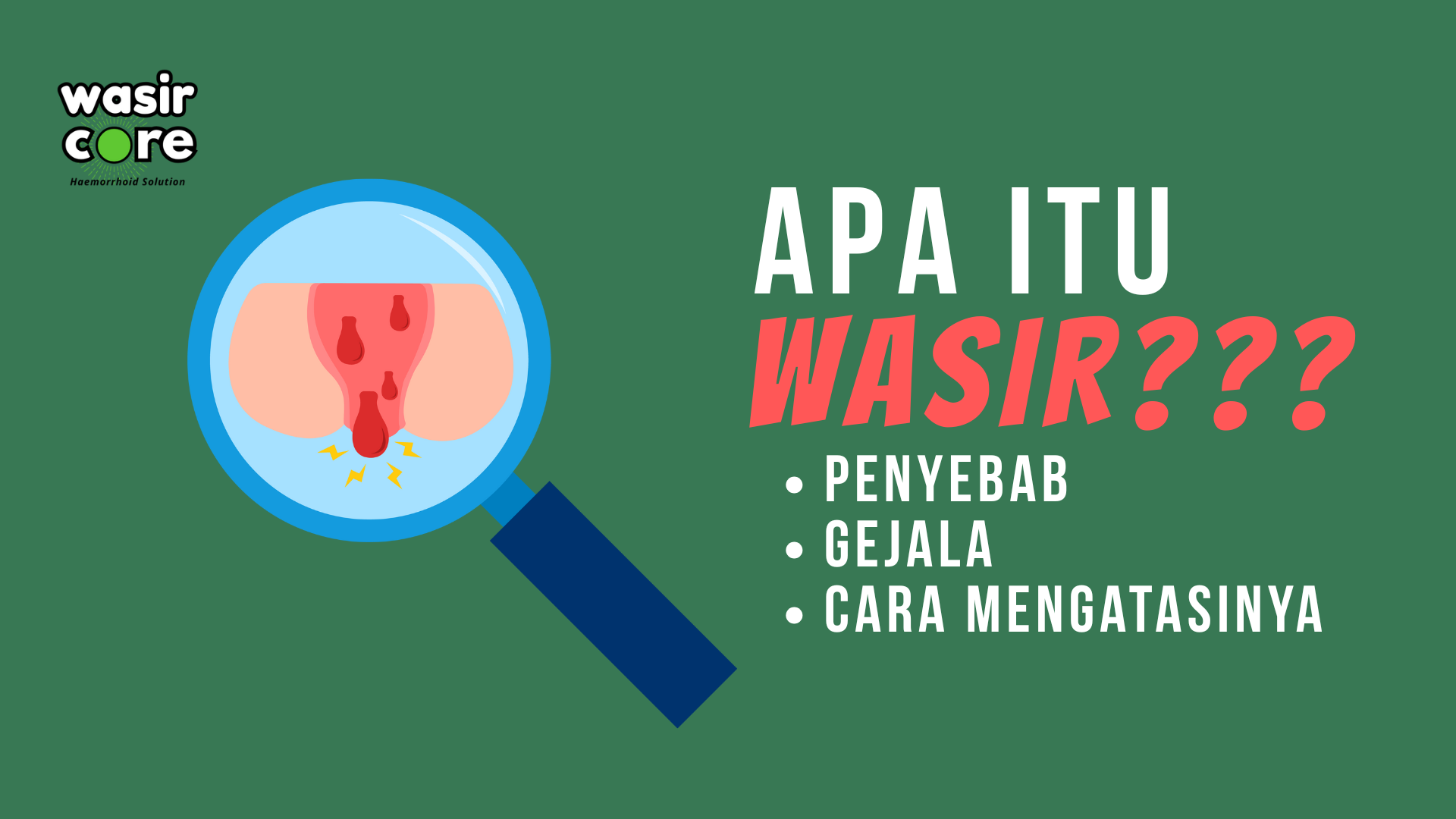 Wasir: Penyebab, Gejala, dan Cara Mengatasinya